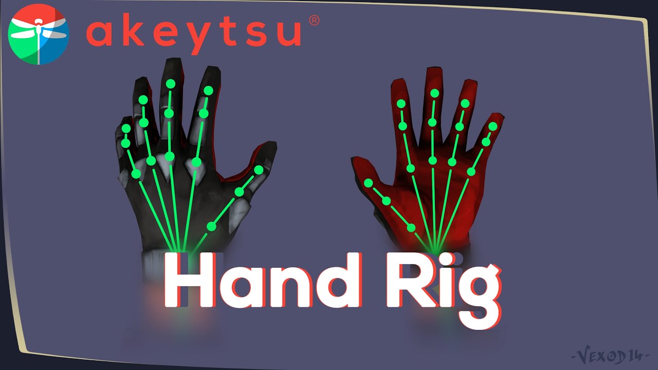 Hand rig in akeytsu