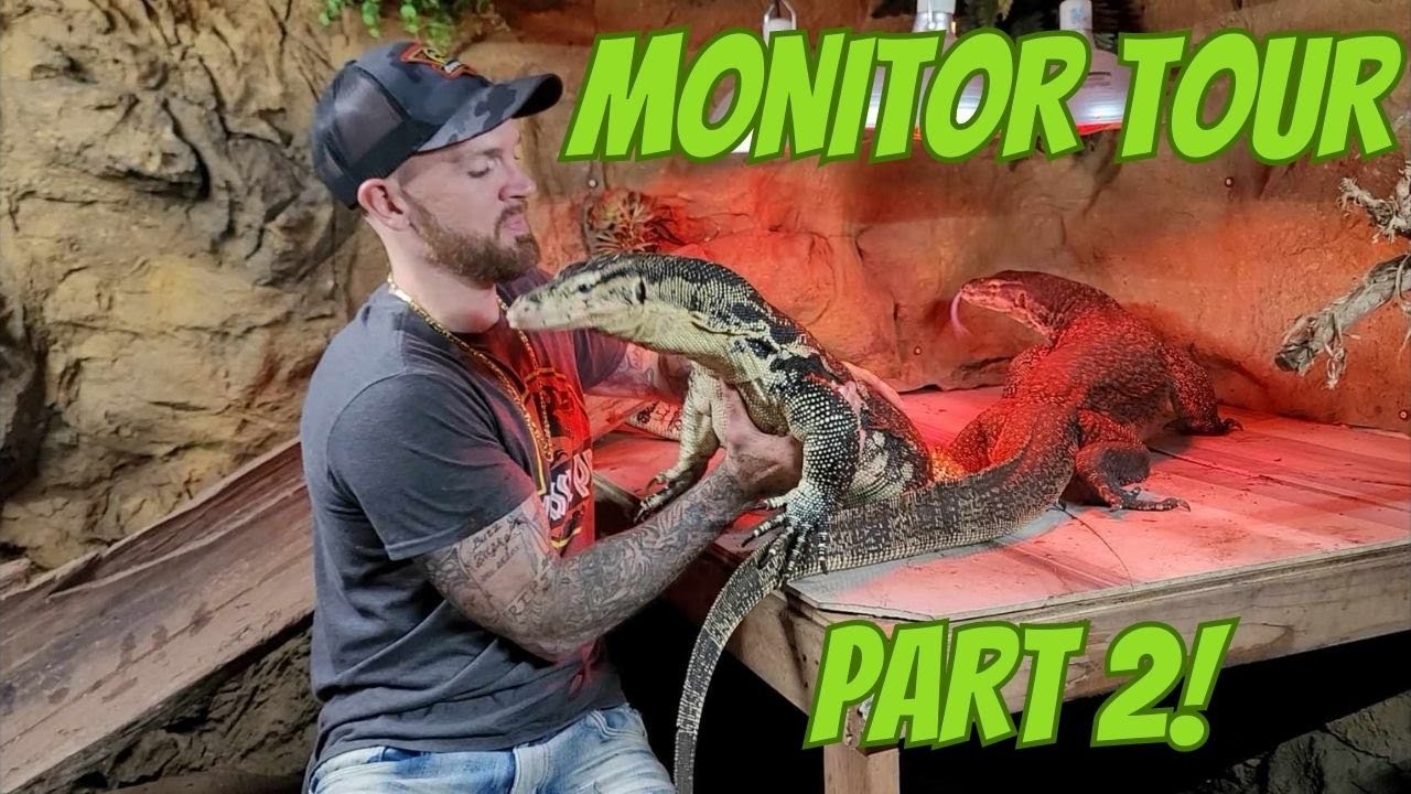 Amazing Monitor Tour Part 2