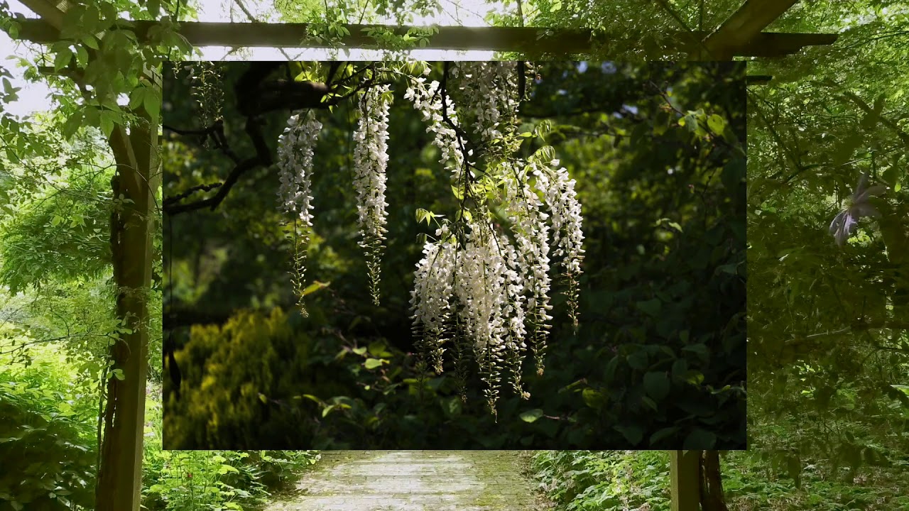 Les Jardins de Castillon