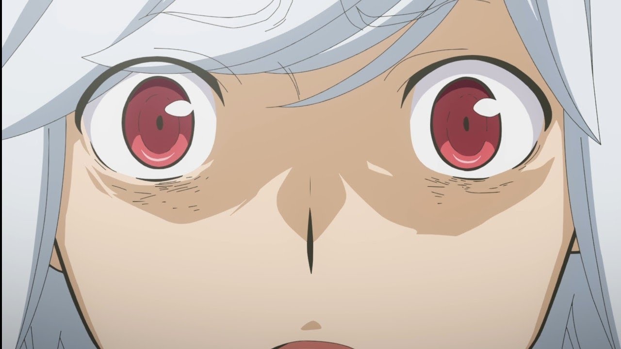 DanMachi Season 5「AMV」Skyfall