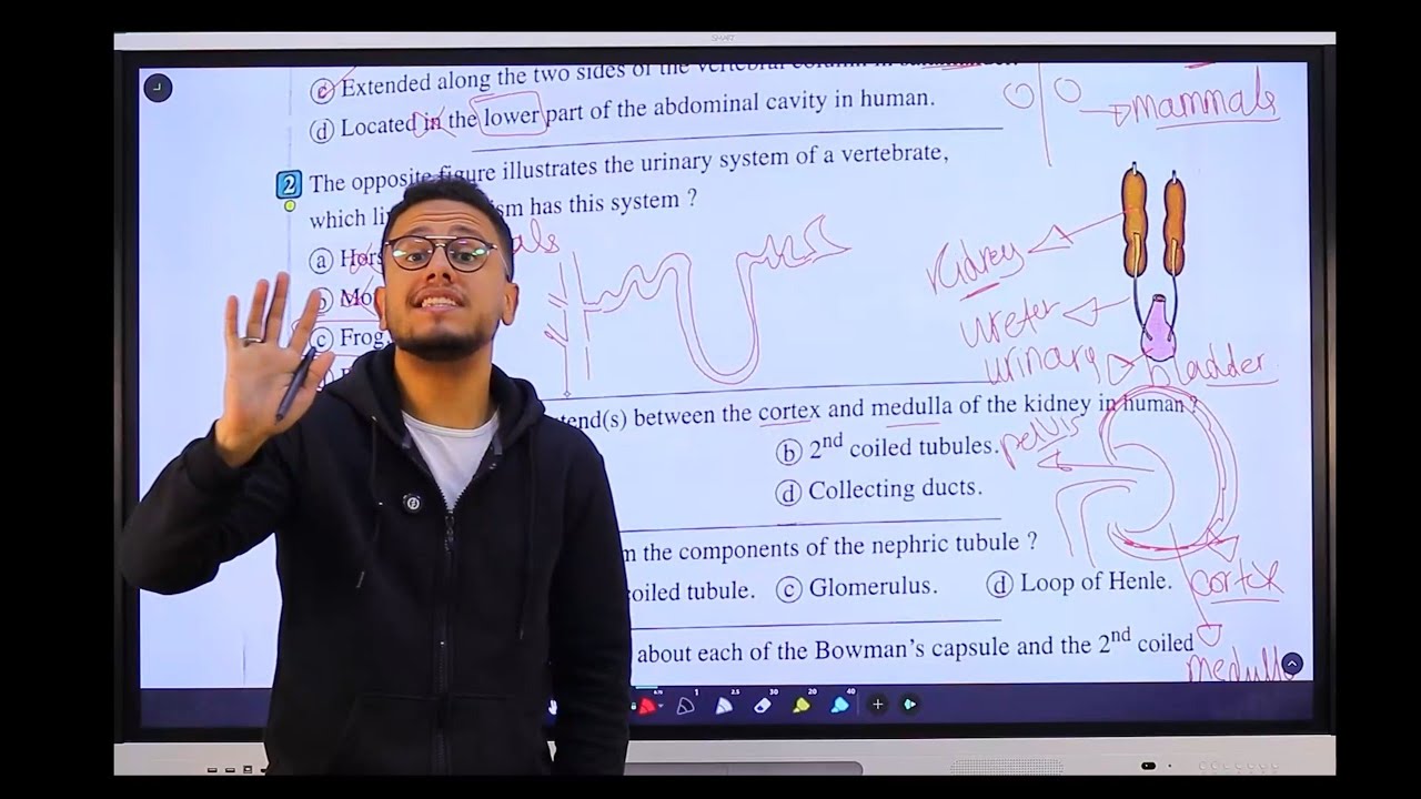 حل اسئله كتاب المعاصر| continue: Excretion in man |Kidney |part 1 | تانيه ثانوي |Biology