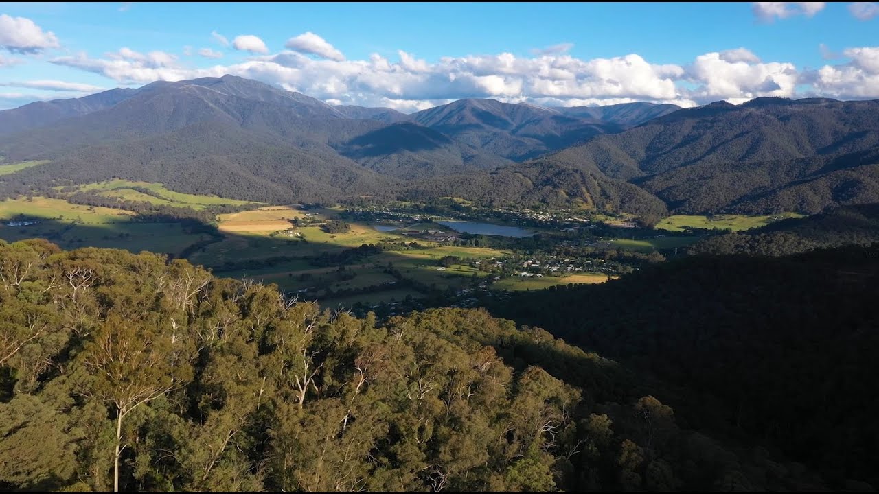 The Producers - Mount Beauty and Surrounds