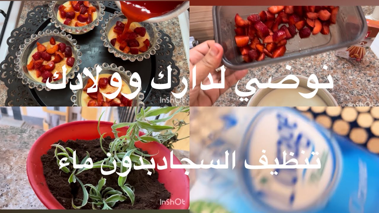فكرة لتنظيف السجاد😍خرجي من اكتئاب و نوضي لدارك ووليداتك🧍‍♀️👩‍❤️‍👩