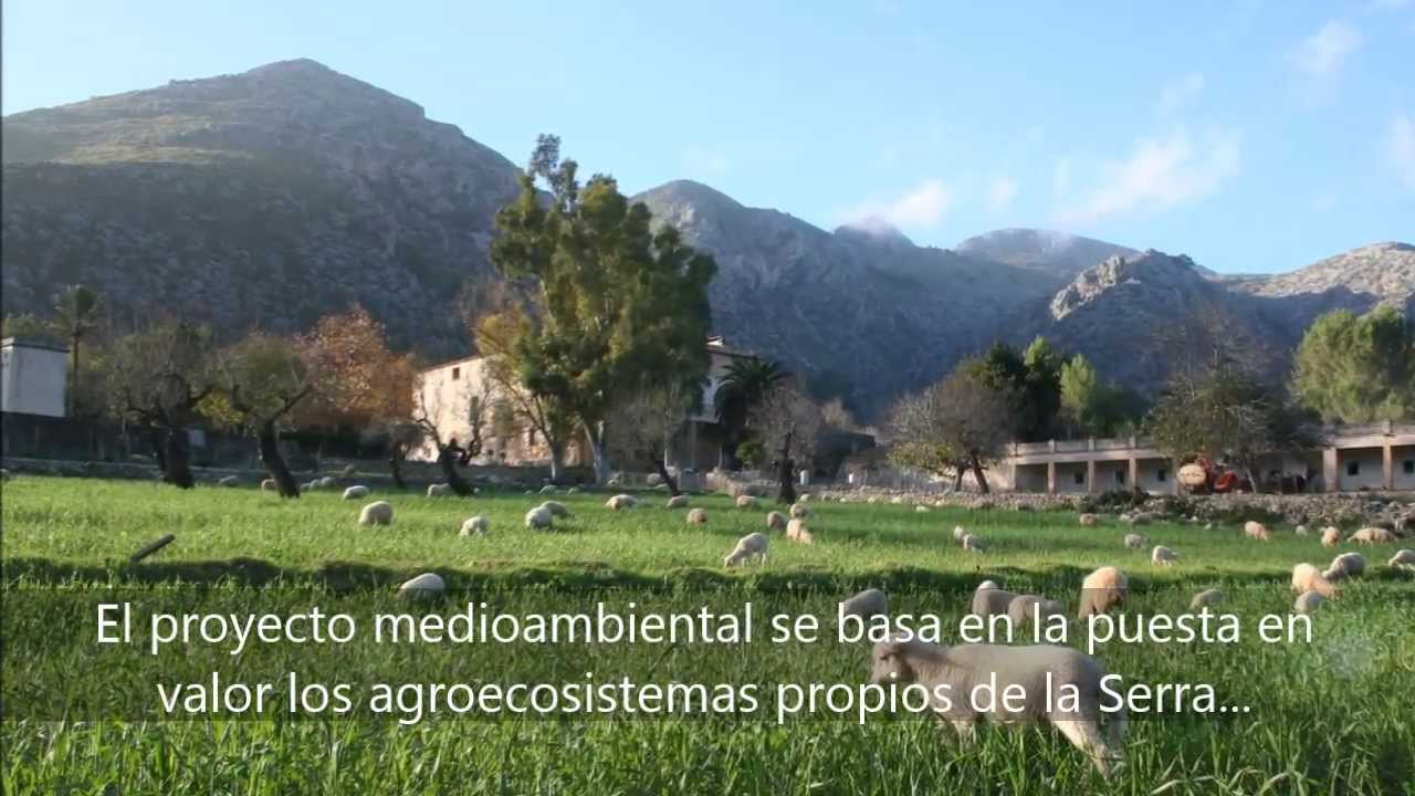 Descubre la Finca Pública Galatzó