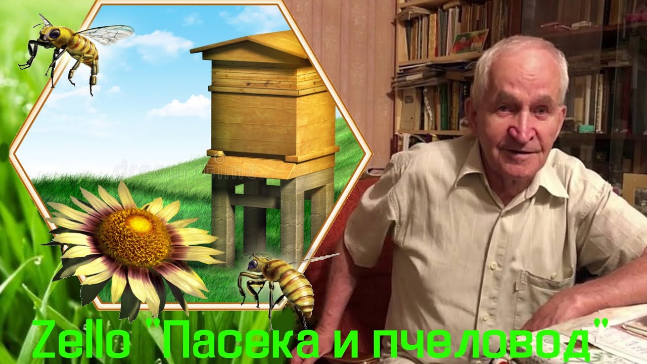 Кашковский В. Г. на Zello 
