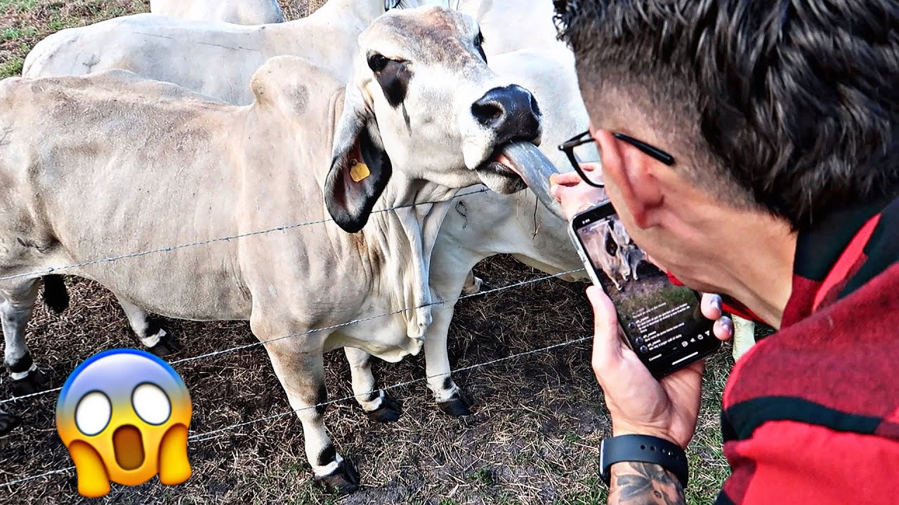 THINGS TO DO IN FLORIDA DURING FALL. QUE HACER EN FLORIDA EN OTOÑO. -Alex&Anabel