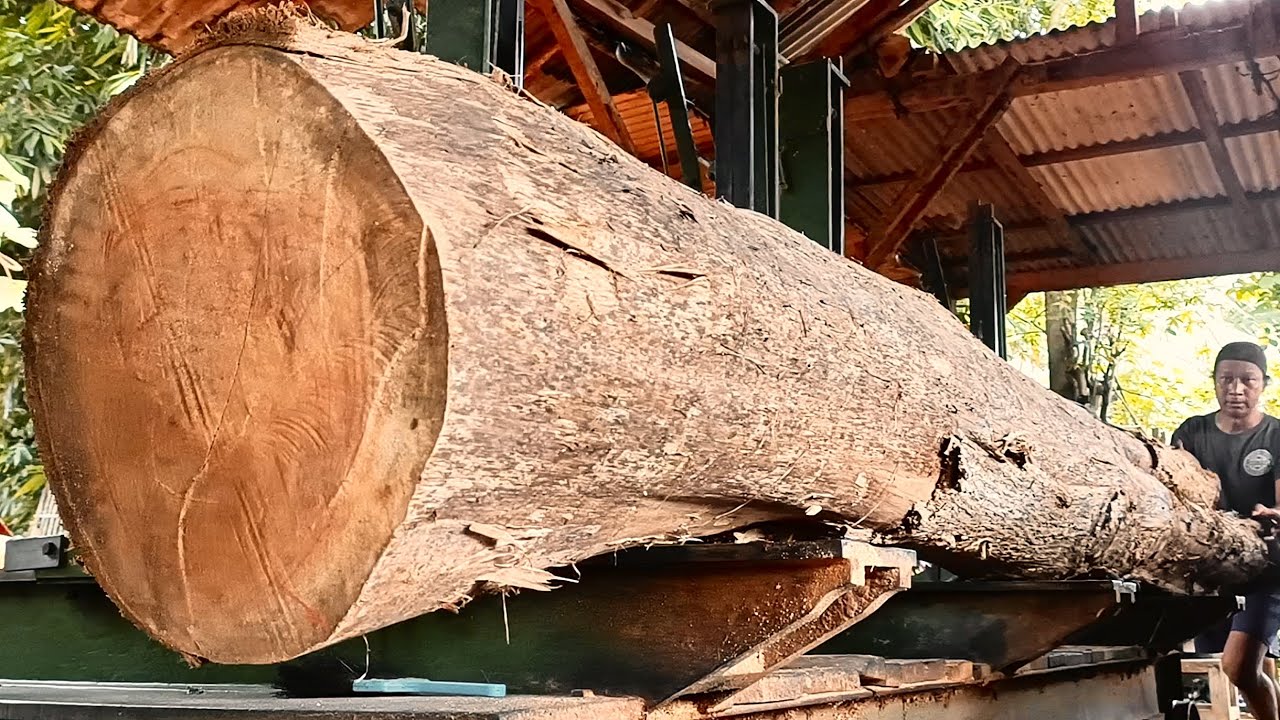 Transforming a weathered looking tree into something priceless with stunning beauty at the Sawmill.!