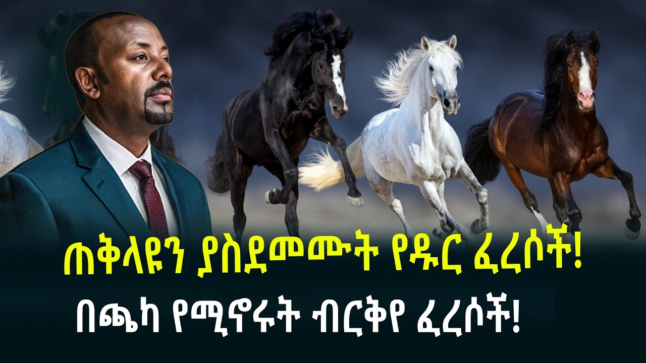 ጠቅላዩን ያስደመሙት የዱር ፈረሶች  በጫካ የሚኖሩት ብርቅየ ፈረሶች March 11, 2026