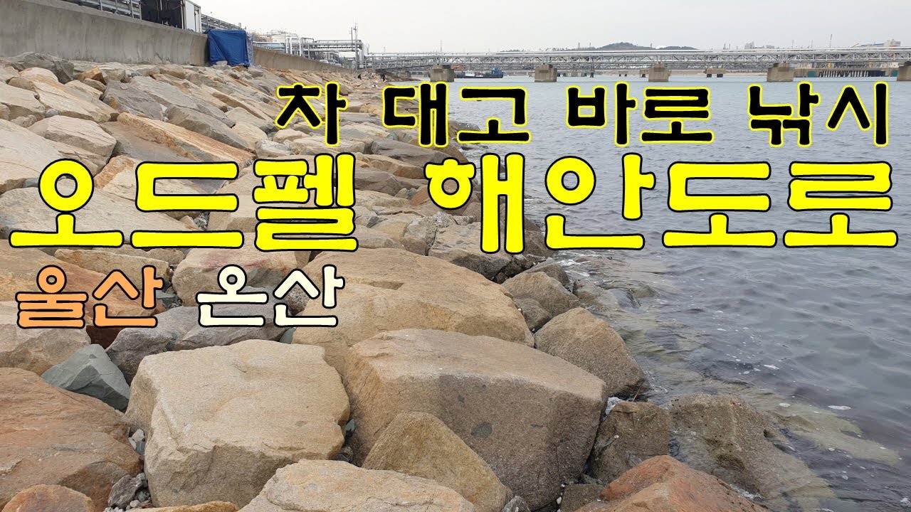 이런 낚시터 전국에 또 있을까? 세상 편한 이색 손맛터
