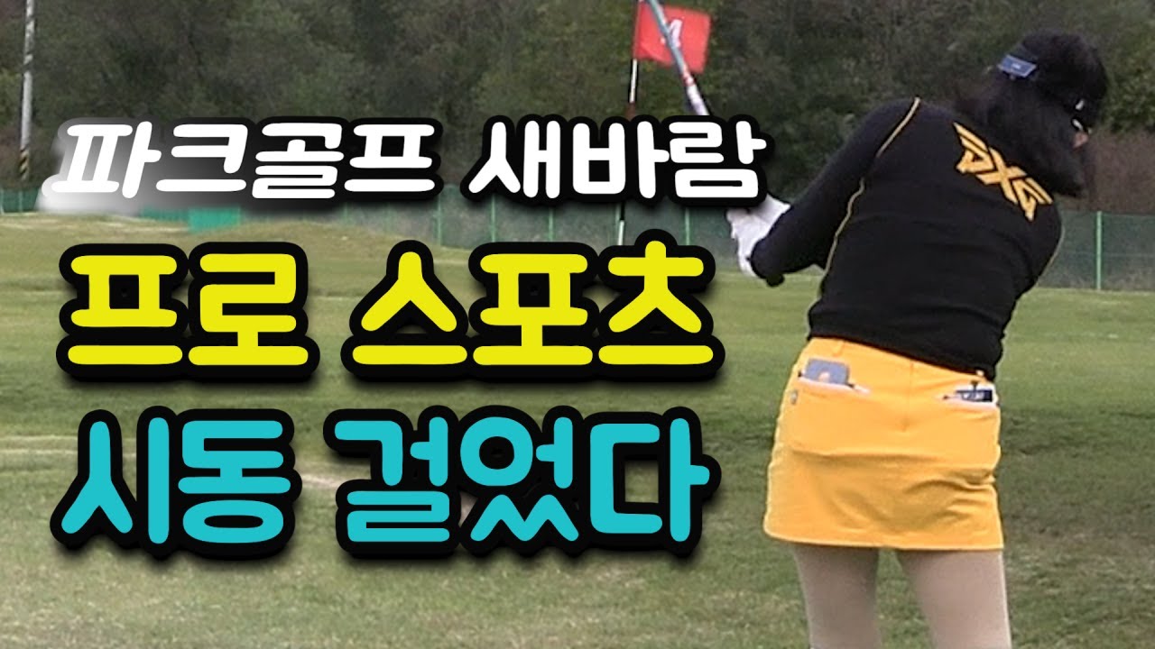 한국파크골프 새역사를 쓰는 프로시대 출범 #프로파크골프 #포천한여울파크골프 #파크골프 #생활체육 #프로스포츠