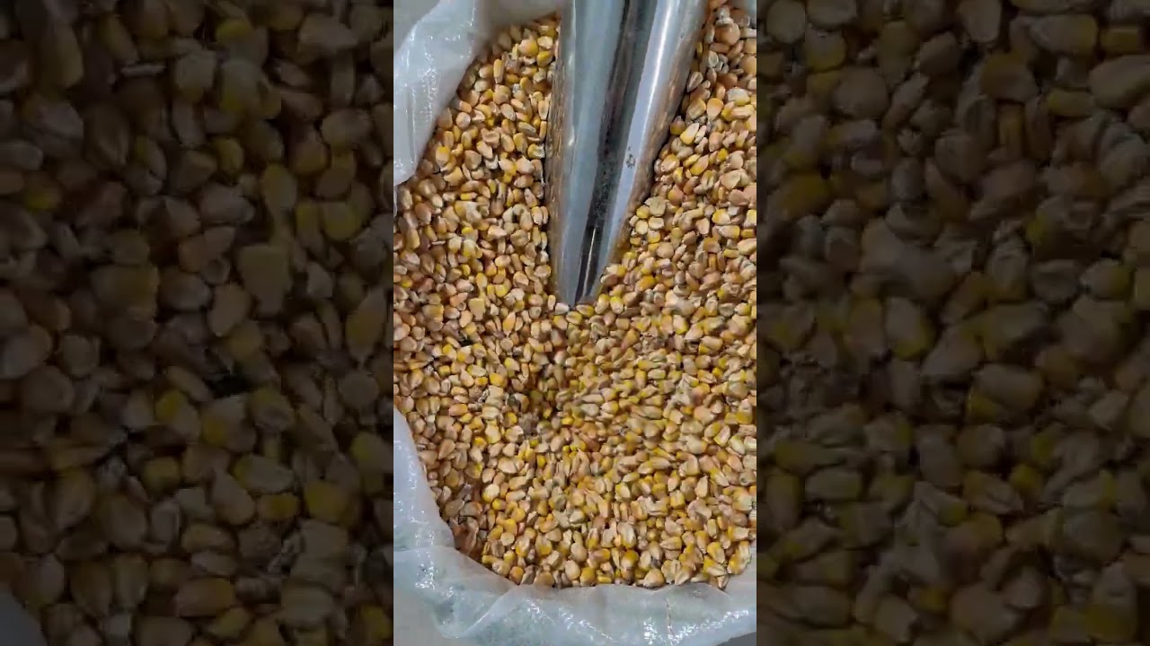 Crusher, Self-priming Crusher 