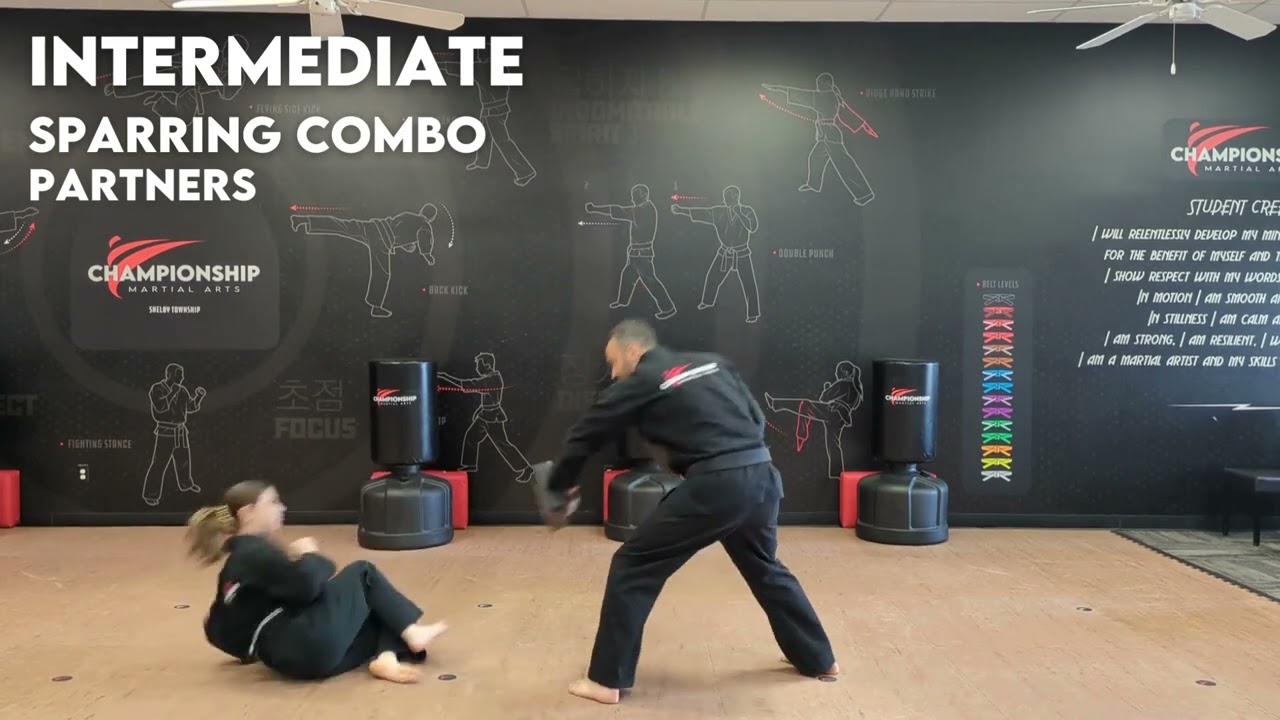 Intermediate Sparring Combo (R6)