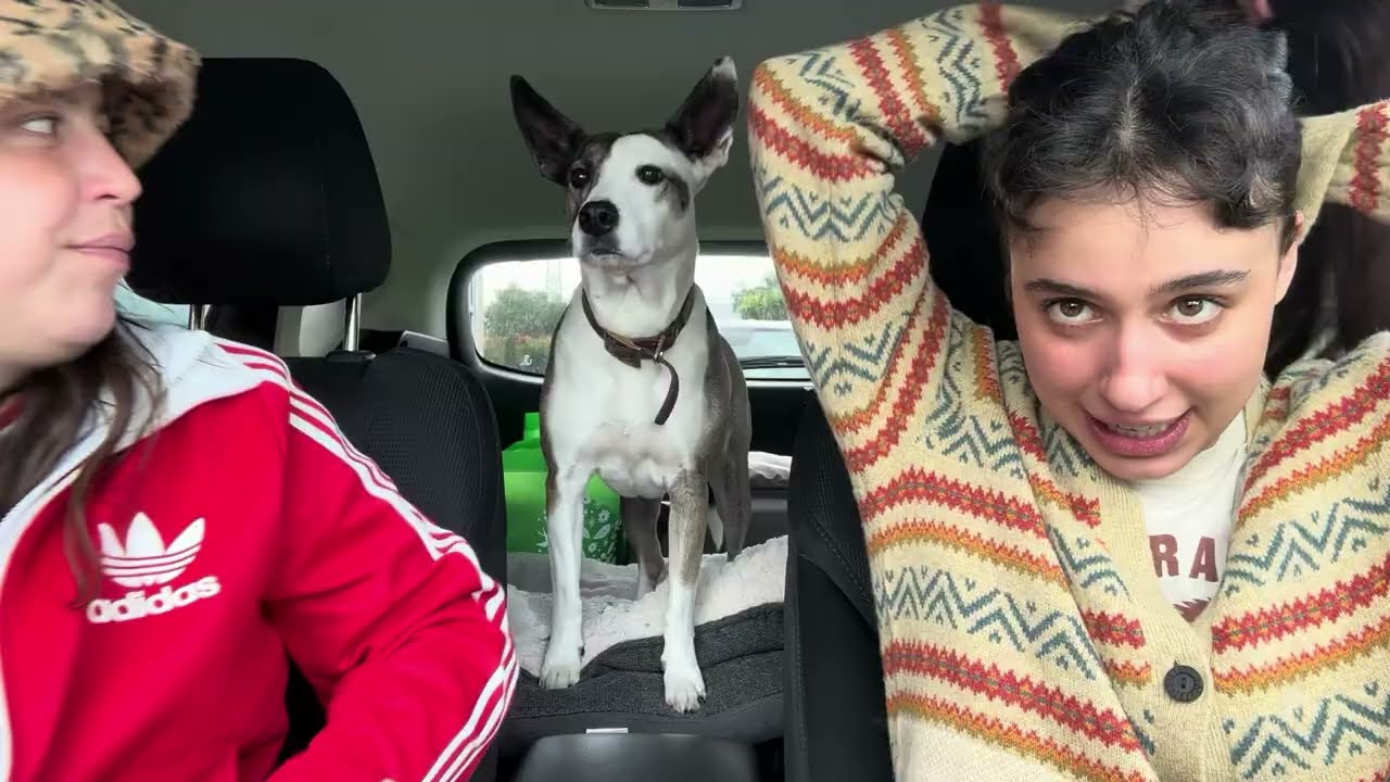 ♡ nuestras vacaciones de las vacaciones ♡