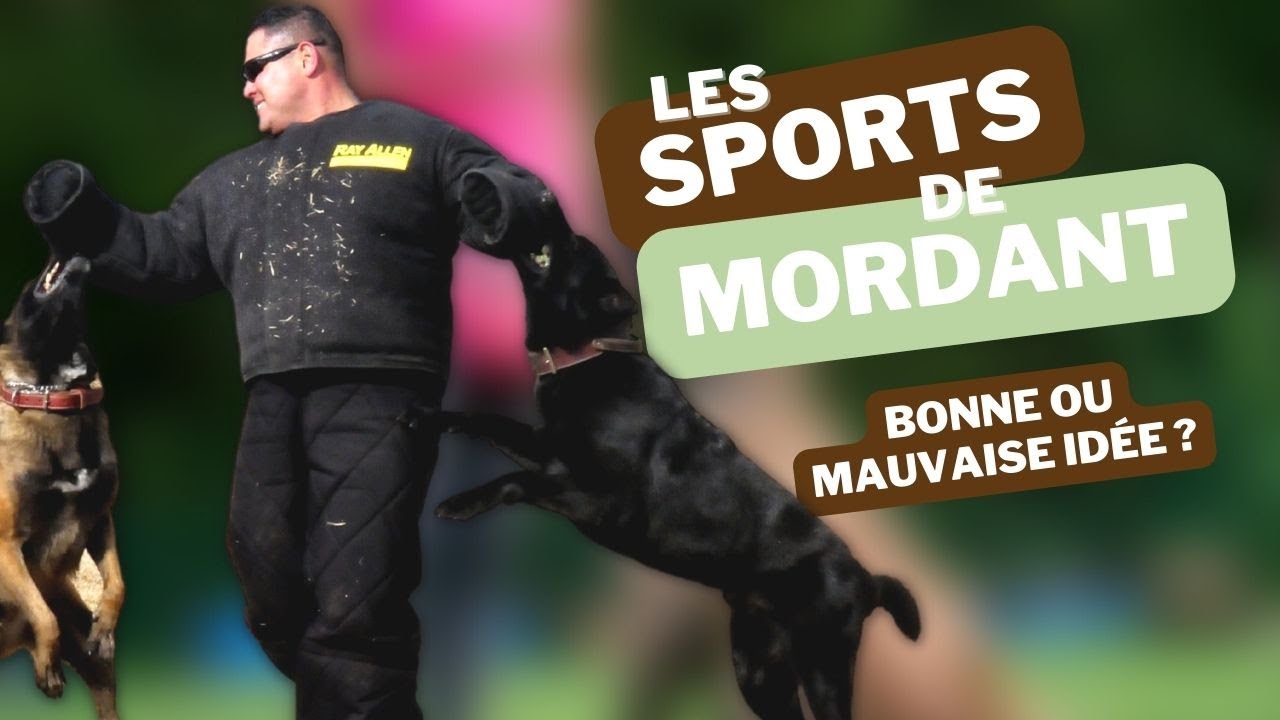 Sport de MORDANT : Petite mise au point !