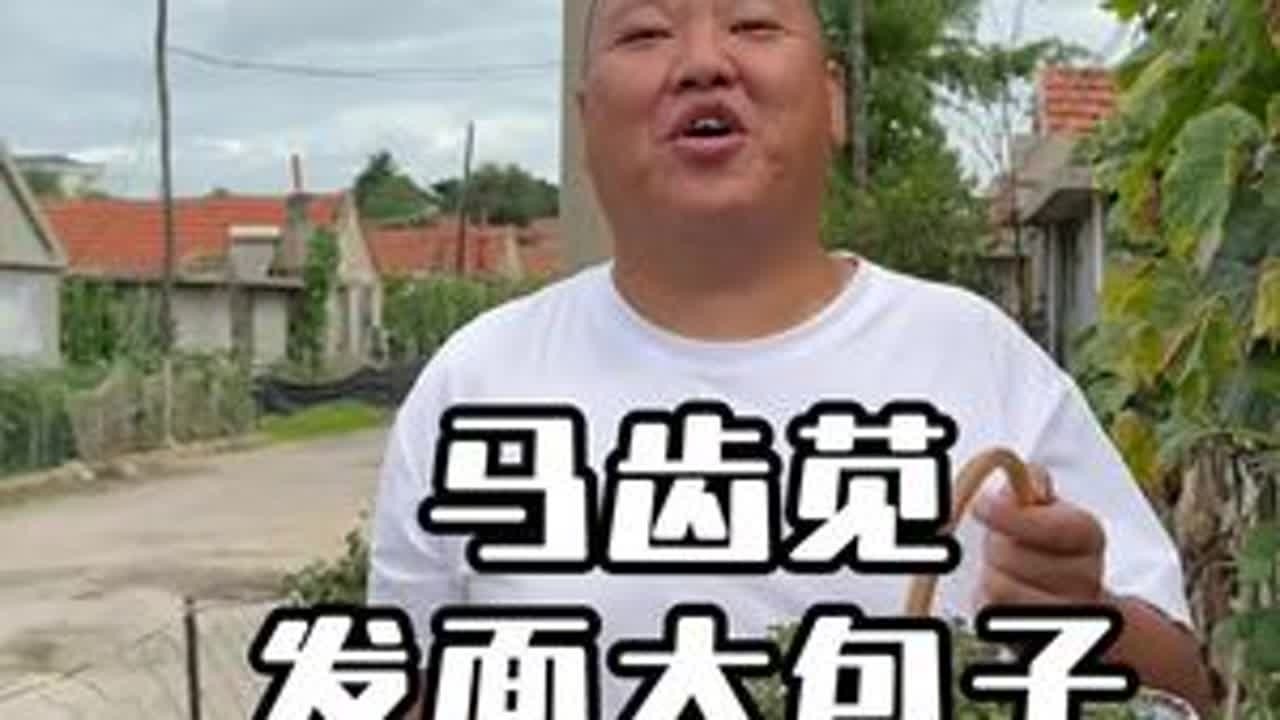 蚂蚱菜发面大包子是真的香#记录好好的自己 #新农人计划2025 #农村美食 #马齿苋