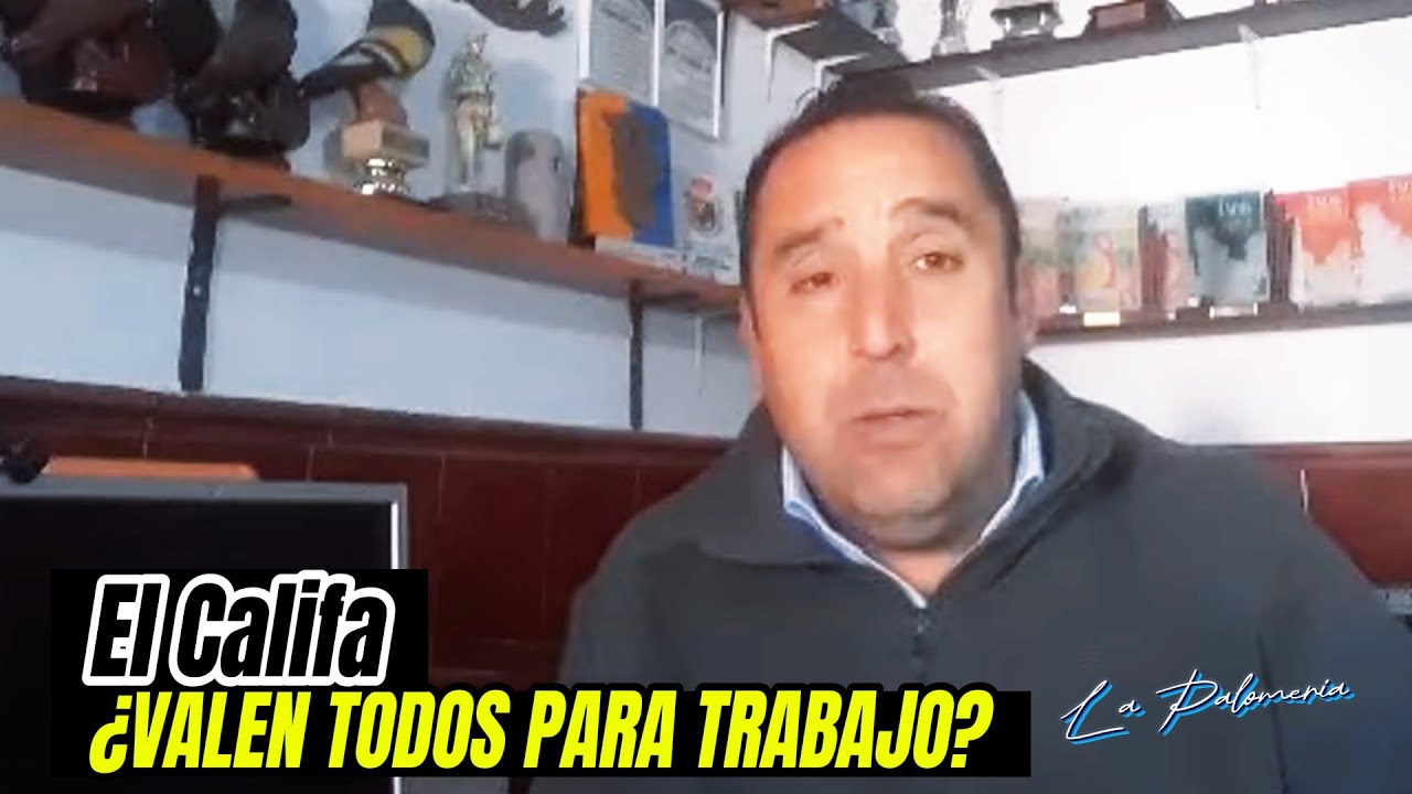 PALOMOS DE TRABAJO |  Valen Todos 🤔❓❗
