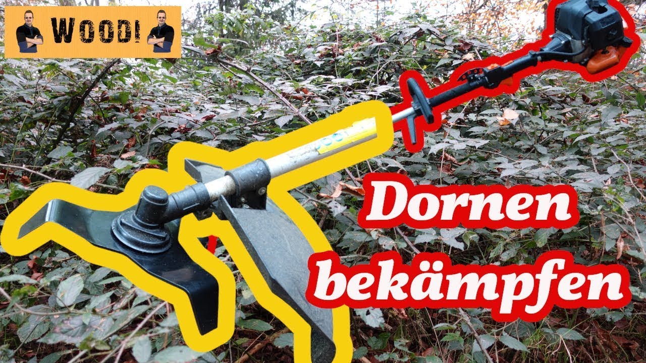 Dornen entfernen und bekämpfen - Wildwuchs mit Mulchmesser für Freischneider entfernen