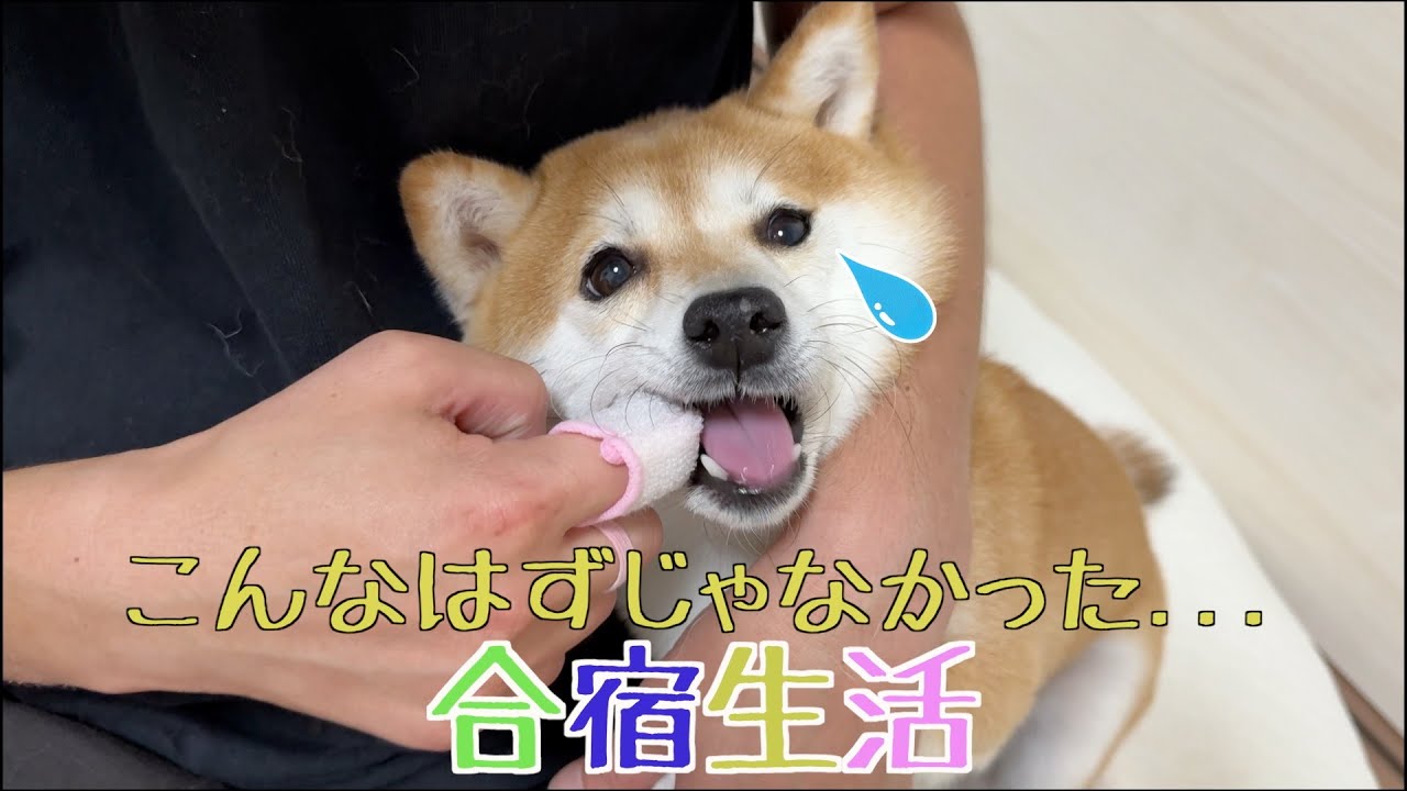 楽しい時間が拷問になった合宿生活....