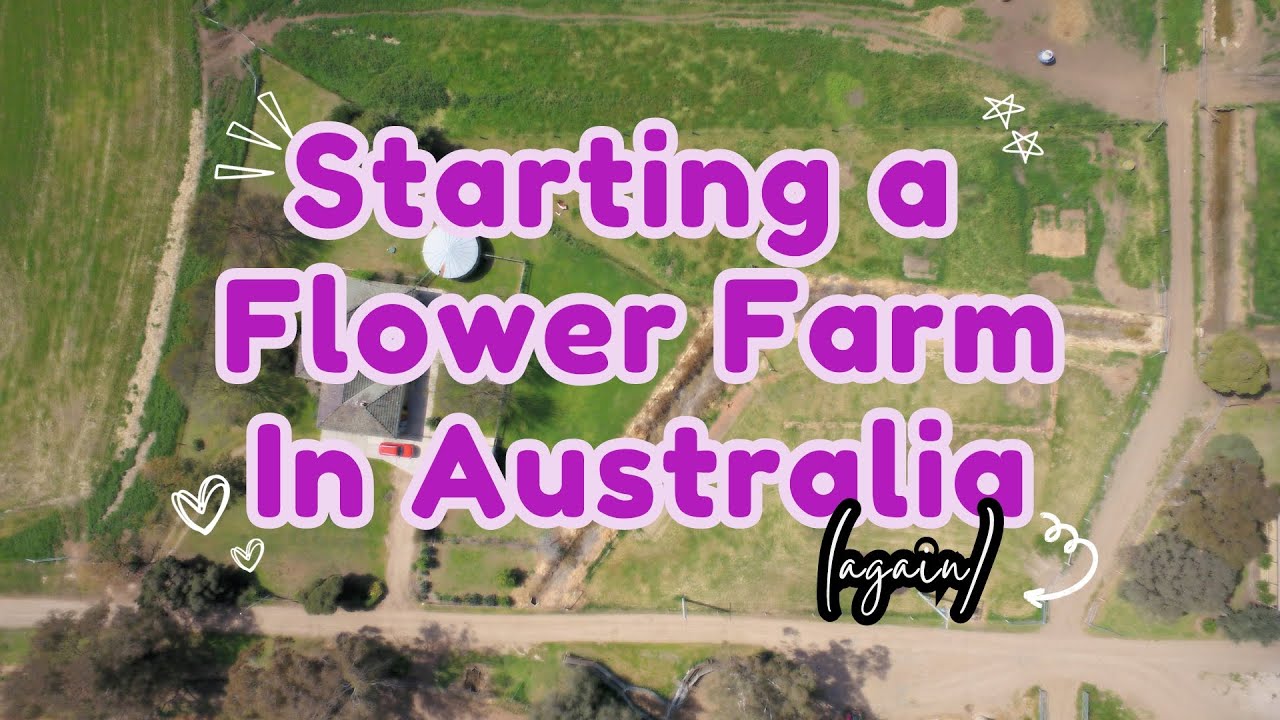 Flower Farm 2.0: New Beginnings at Fresh Farm