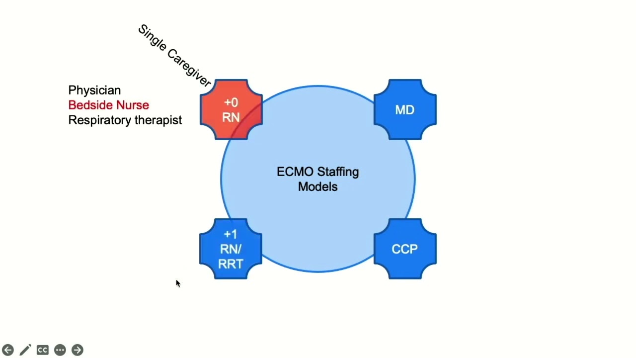RN and RRT ECMO Specialists VS Perfusionists