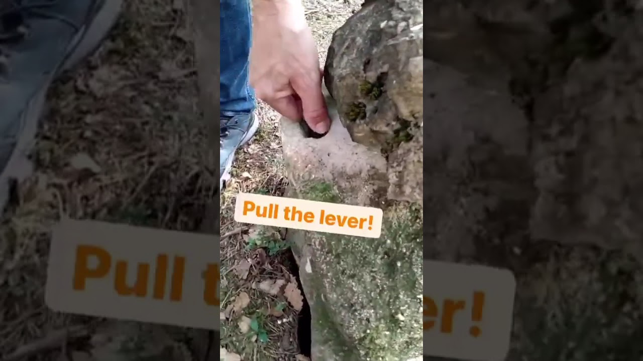 💫 Could you find this spin-tastic cache?🔎 #geocaching #geocache #shorts