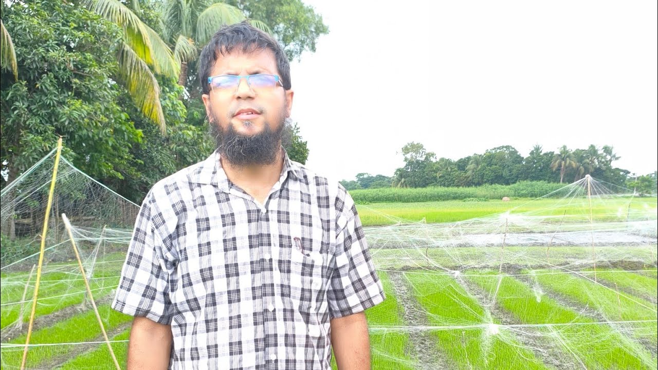 ব্রি ধান১১৪ পর্যন্ত বোরো মৌসুমের১০০+ জাতের সর্বাধুনিক সকল তথ্য জানুন | Paddy Rice BRRI Boro Variety