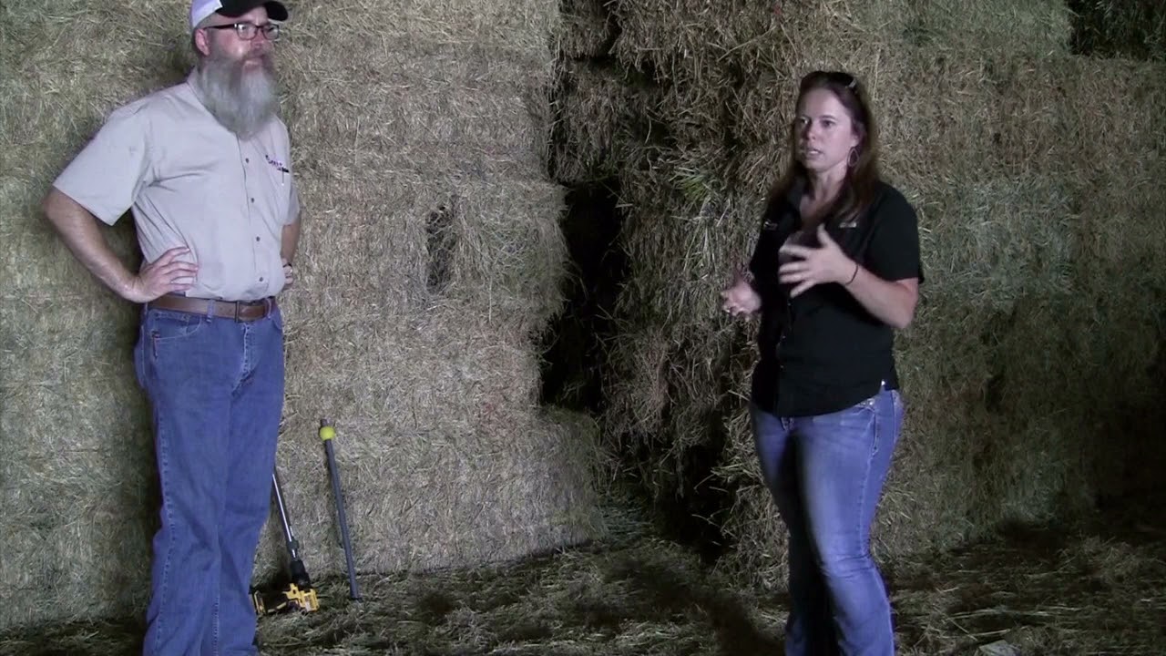 Equine Forage Education Video Series:  Video 4:  How to Take a Forage Sample for Analysis