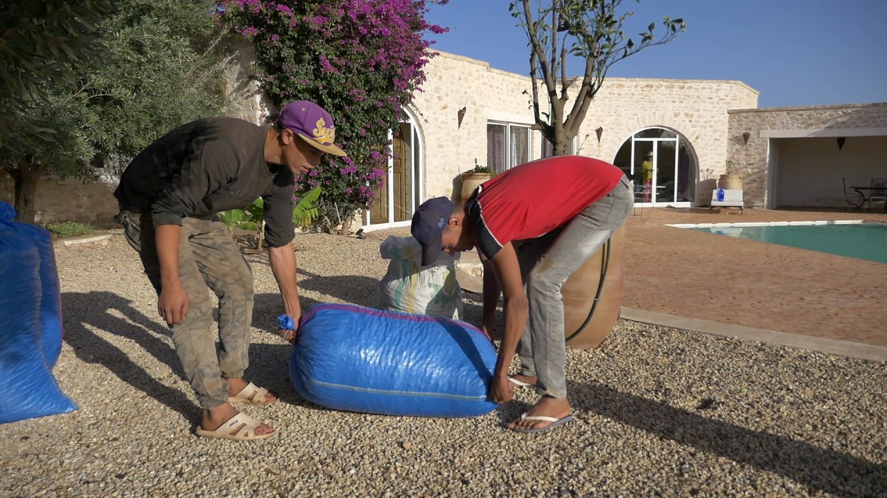 fabrication de l'huile d'olive vierge à Dar Luce au Maroc