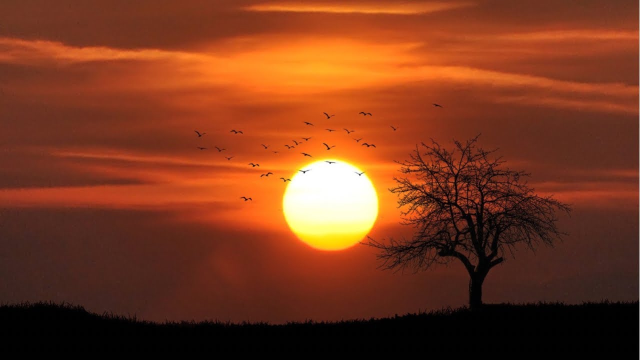 Beautiful Relaxing Music,Meditation  Relaxing Music, Stress Relief Music, Sleeping Music With Sunset