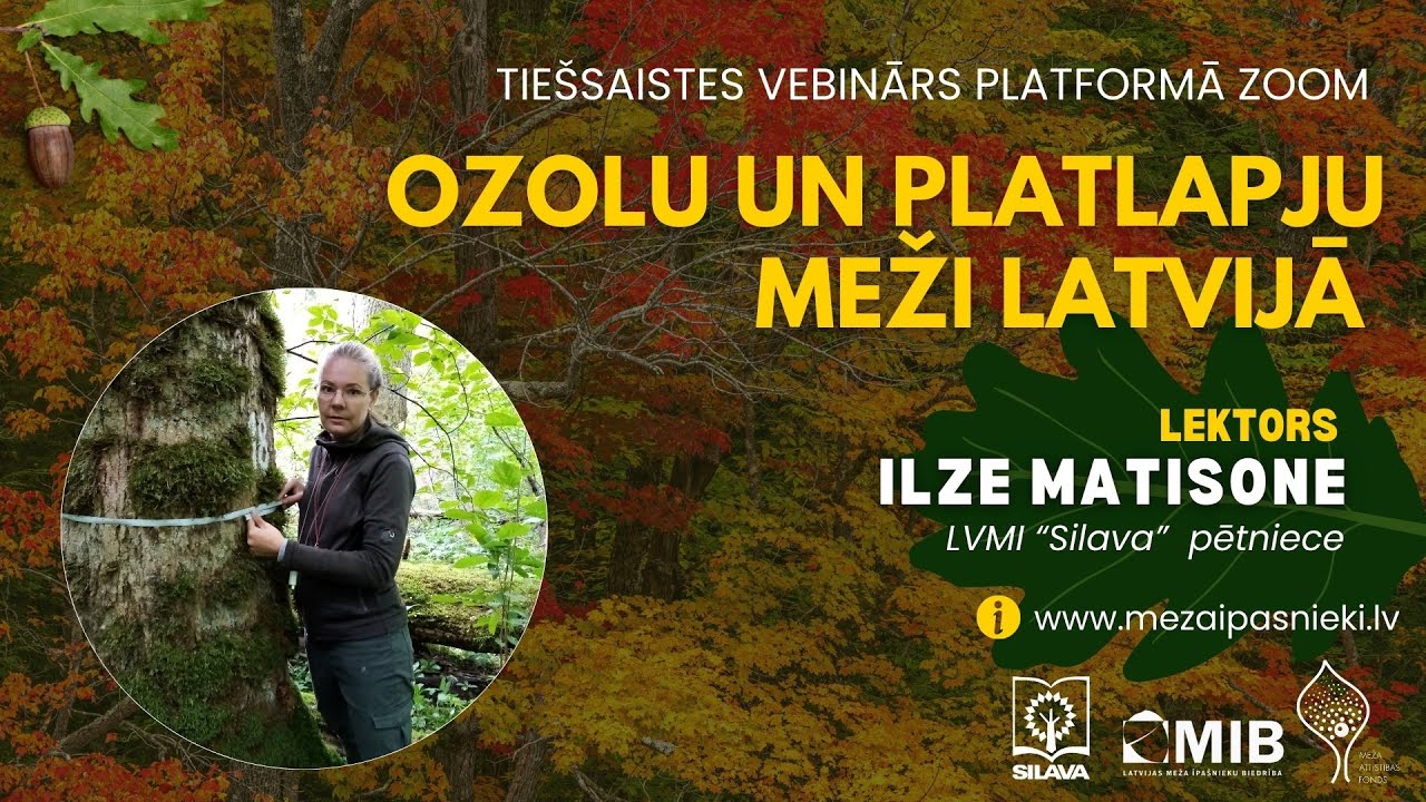Ozolu un platlapju meži Latvijā -  tiešsaistes vebināra ieraksts