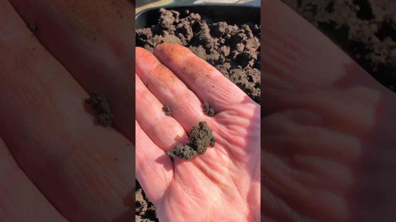 Alpaca Manure