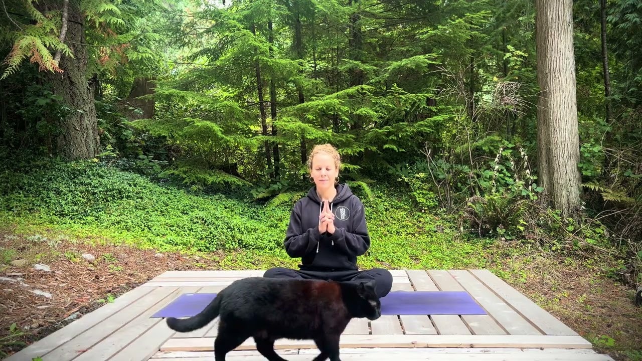15min Box Breathwork with Muladhara Mudra