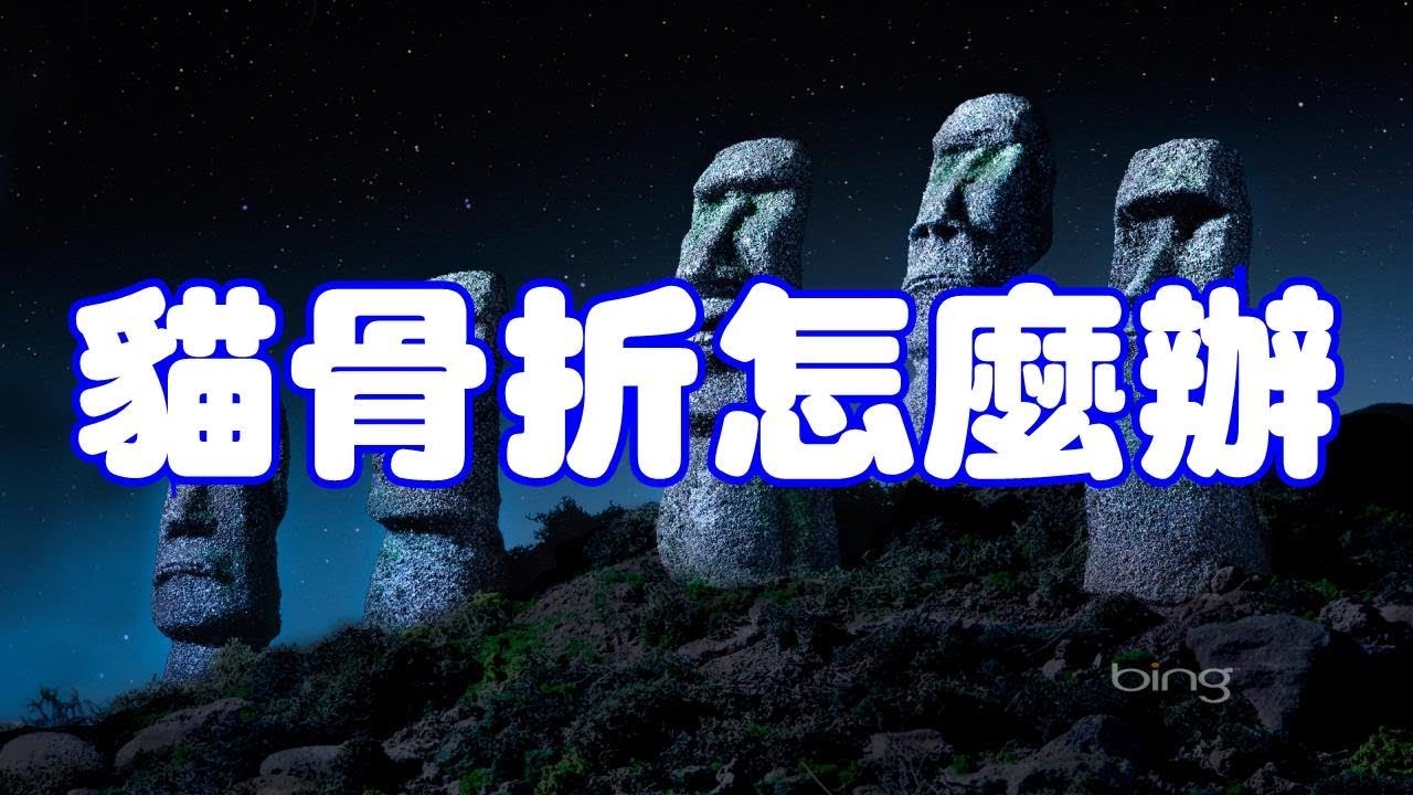 貓骨折怎麼辦