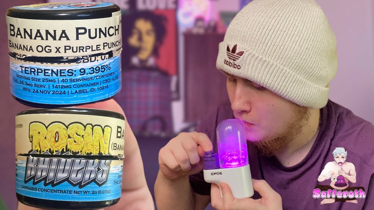 Banana Punch Hash Rosin - Rosin Raiders