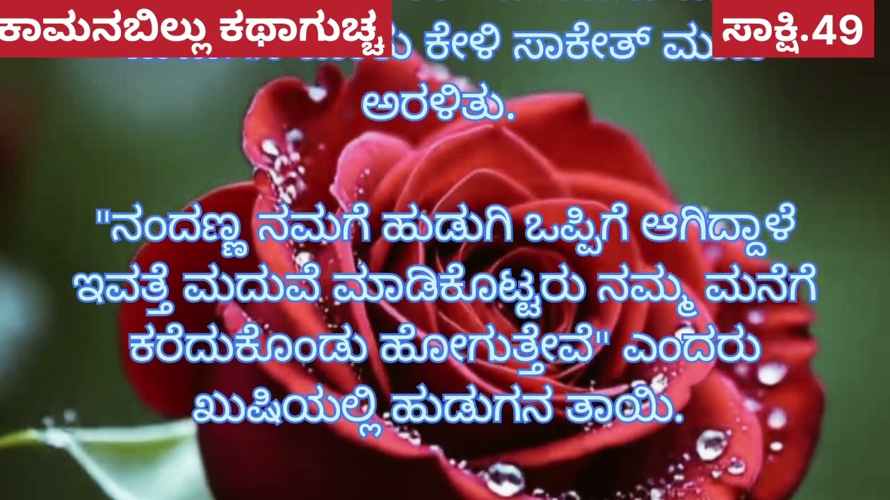 ಸಾಕ್ಷಿ.49 ಕೊನೆಗೂ ಅನುರಾಗ್ ಸಾಕ್ಷಿ ಮನೆಗೆ ಬಂದಿದ್ದಾನೆ. ಎಲ್ಲರಿಗೂ ಅವನ ಪ್ರೀತಿಯ ವಿಷಯ ತಿಳಿಯುತ್ತ?