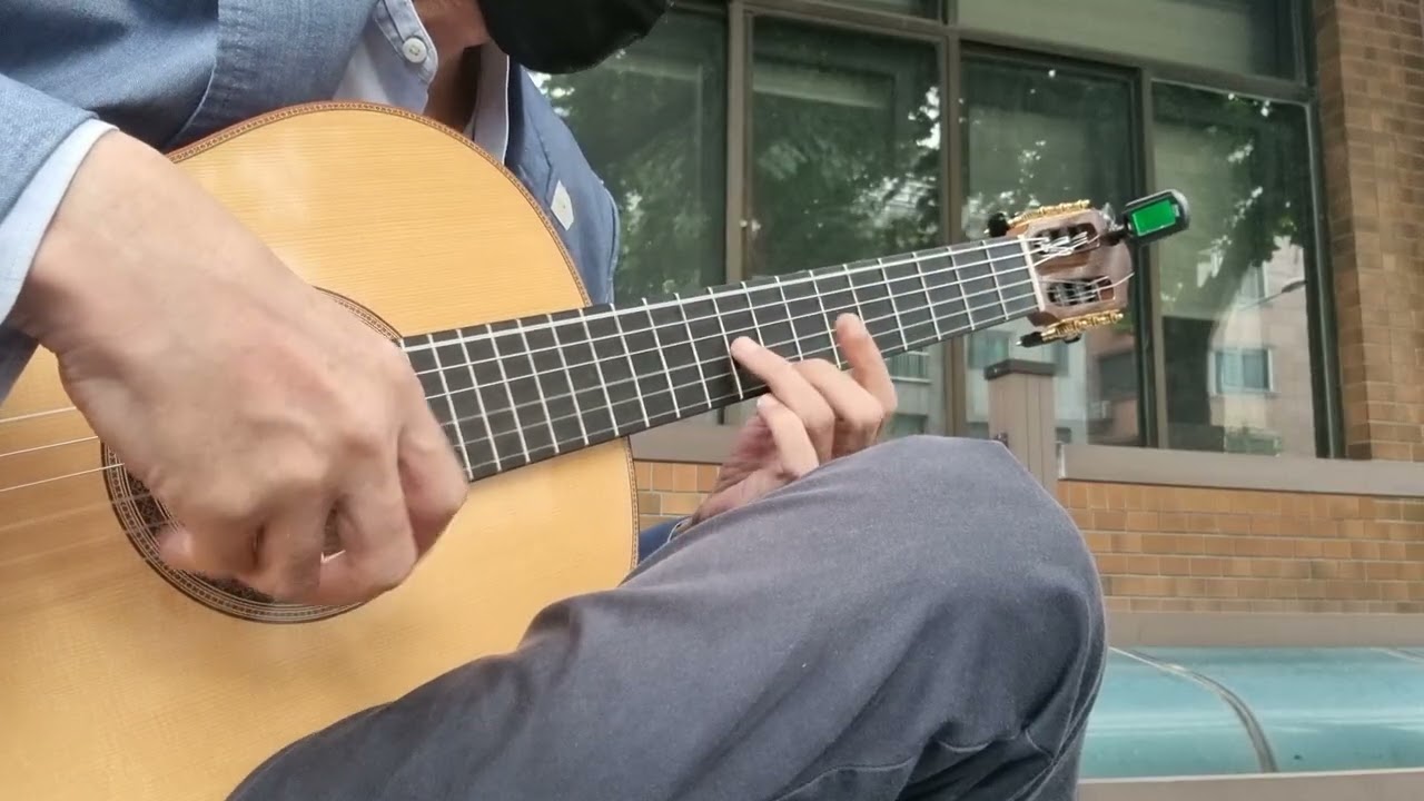 El Ultimo Tremolo | Barrios mangore | 최후의 트레몰로