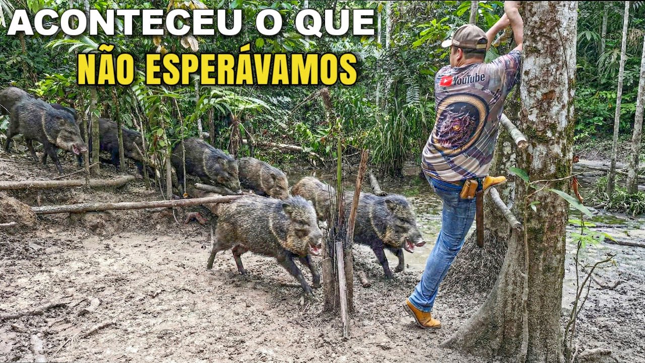 FICAMOS FRENTE A FRENTE COM OS QUEIXADAS — QUASE O PIOR ACONTECEU
