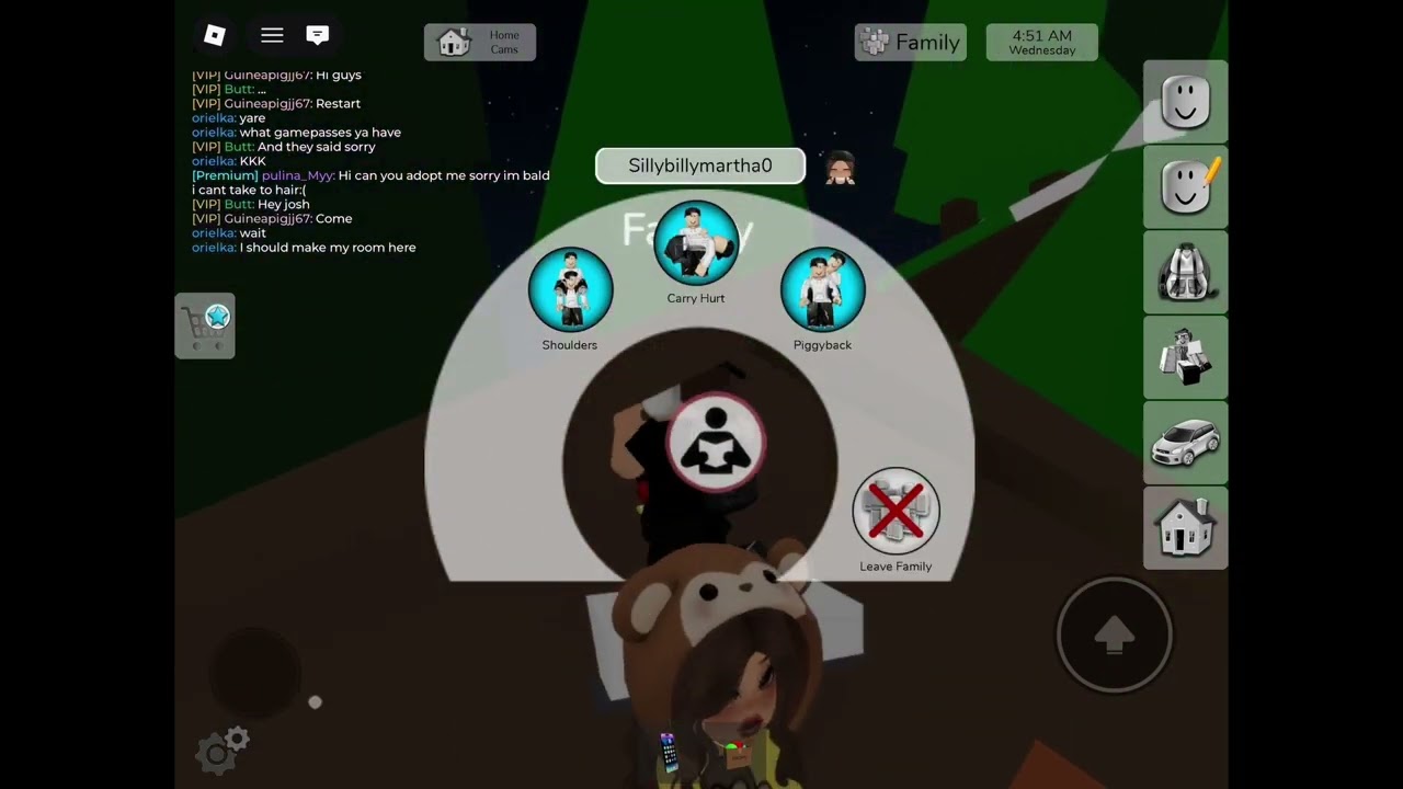 Camp site secret in brook haven fist video