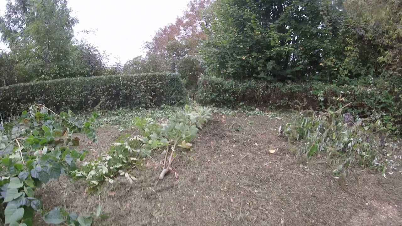 Défrichage et nettoyage d'une propriété avec du stihl  partie 2