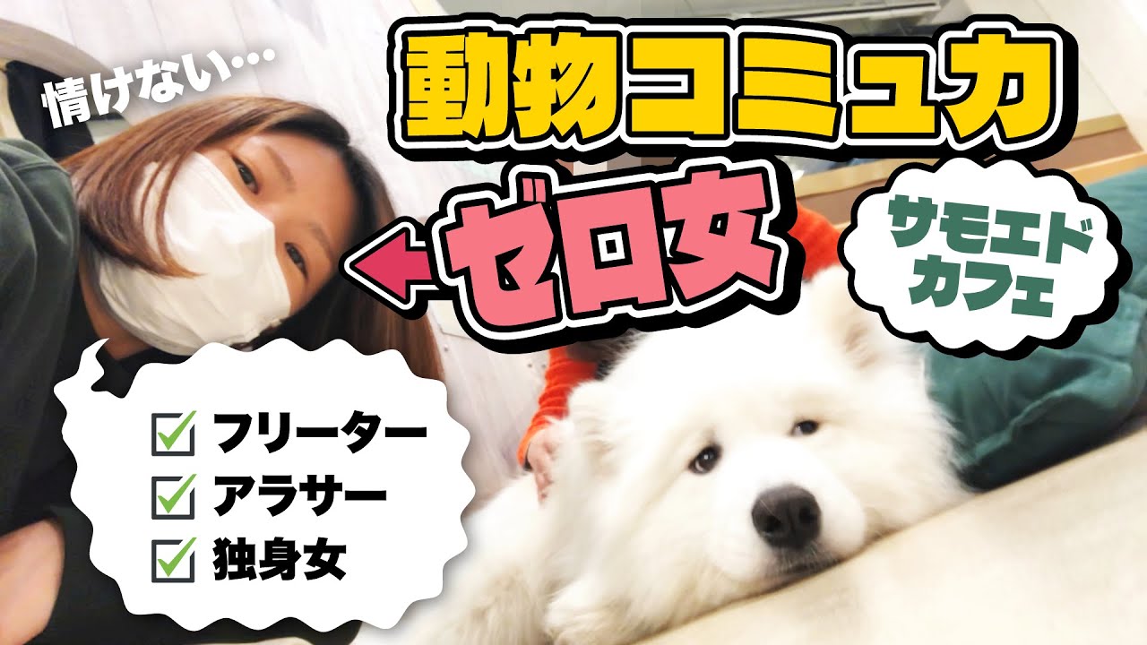 【vlog】犬相手にコミュ症発揮するアラサー独身女