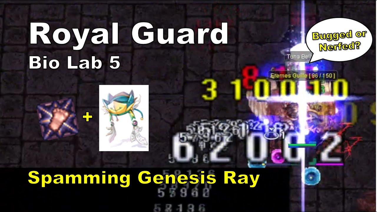 [BB iRO] Royal Guard - 