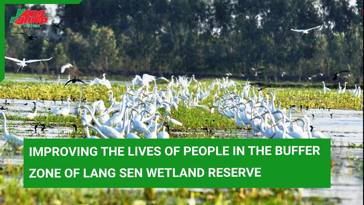 Improving the lives of people in the buffer zone of Lang Sen Wetland Reserve