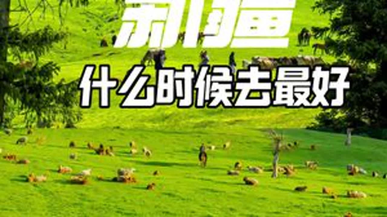 一次性讲清楚新疆最佳旅游时间，以及不同的时间能看到什么样的景色，适合游玩的区域#新疆 #新疆旅游攻略 #新疆旅游 #新疆最美的季节