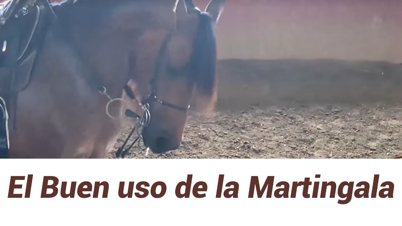 El Buen uso de la Martingala