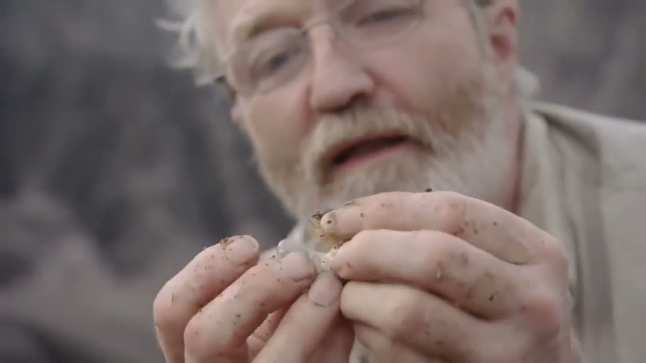 Expedition New Guinea E03 Lost Land of the Volcano