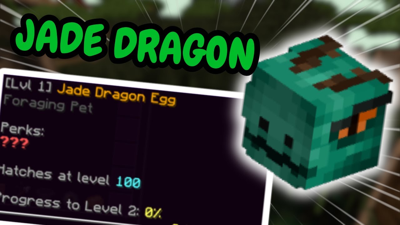 The JADE DRAGON Pet Is INSANE&hellip; Location & How To Survive the Cave! | Hypixel Skyblock 4K Video