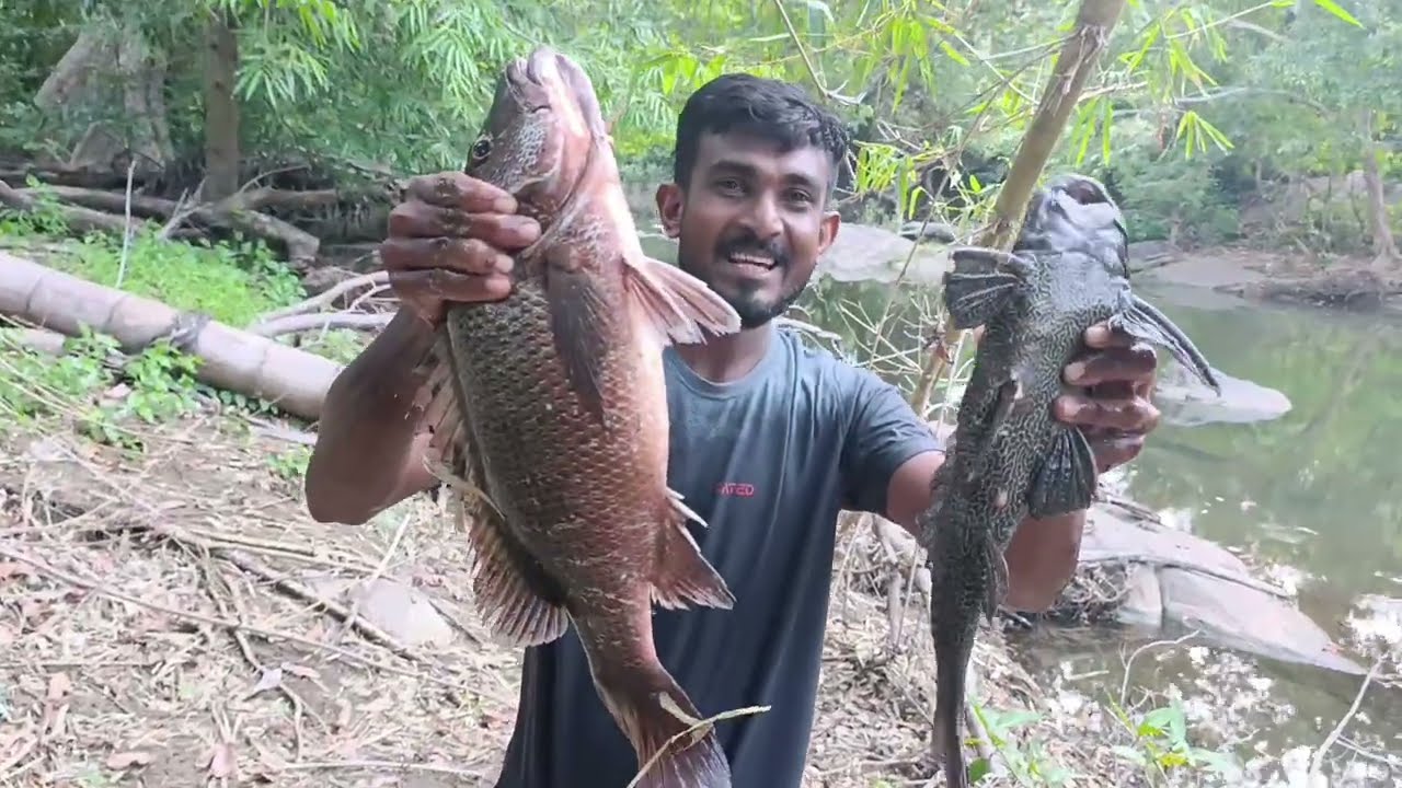 මුහුදෙ ඉන්න තැඹලයෝ මාළු කිරිඳිඔය ගඟෙන් අල්ලපු හැටි @FishingWithSuresh Siri Lanka River Fishing Catch