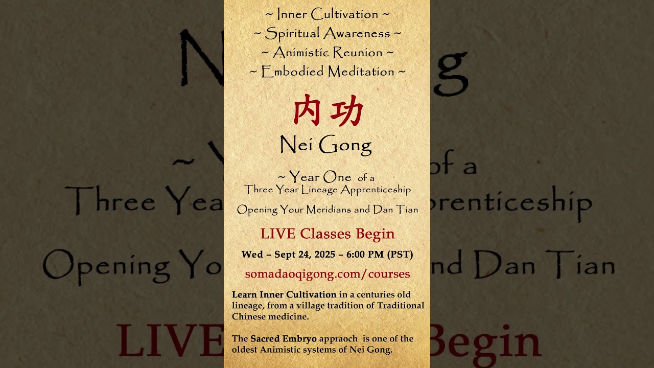 Why Learn Nei Gong?