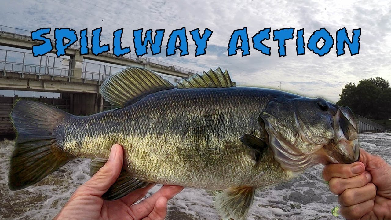 Rodman Dam Spillway Report - 8/15/18