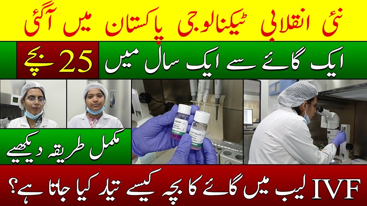 IVF technology in Pakistan| In Vitro Fertilization| Livestock Breed Development| #kisannewstv